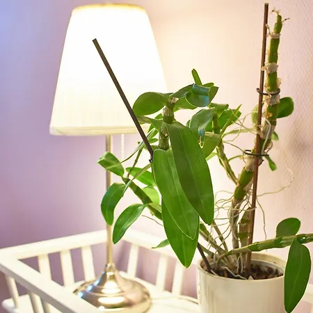 Südstern Og Apartment